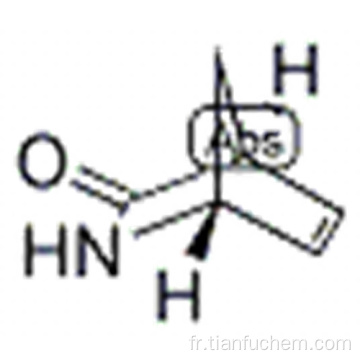 ((1R, 4S) -2-azabicyclo [2.2.1] hept-5-én-3-one CAS 79200-56-9